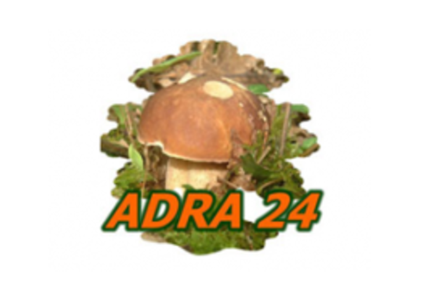 logo_adra_2023.PNG