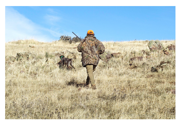 logo_chasse.png