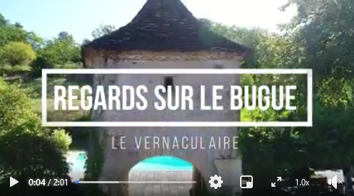 vign video 03-09-21.PNG