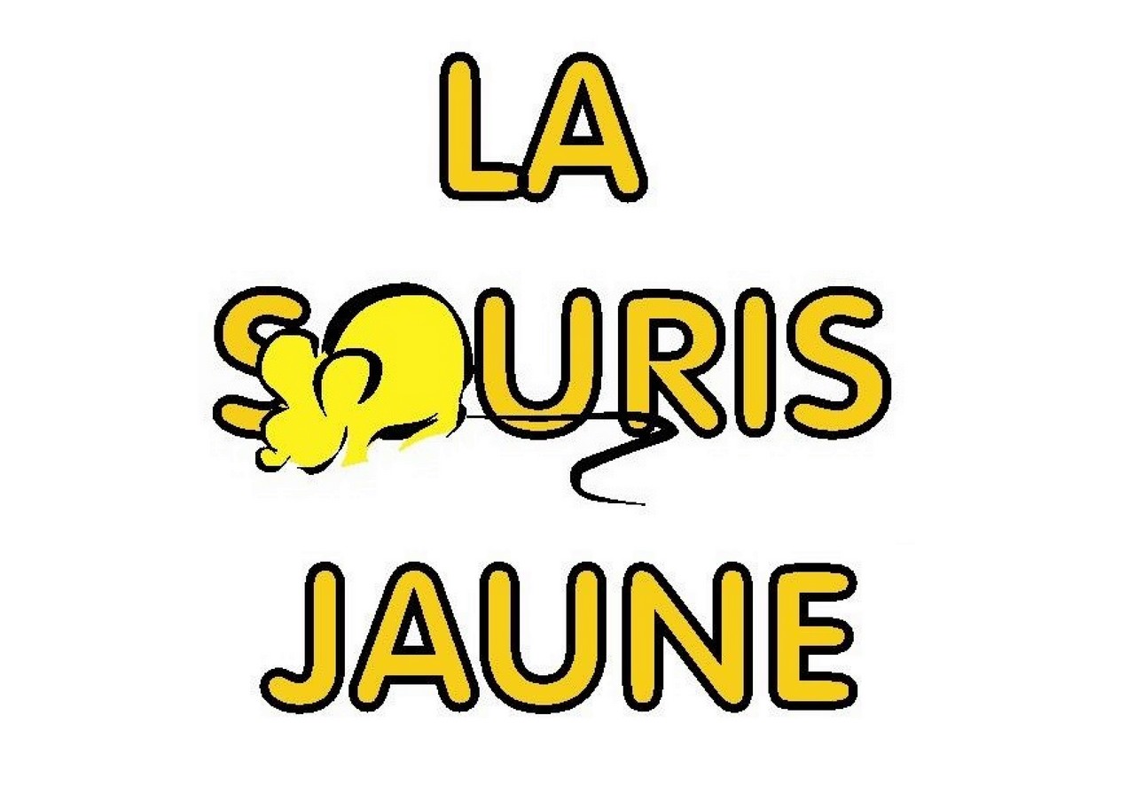 logo Souris Jaune 2.jpg