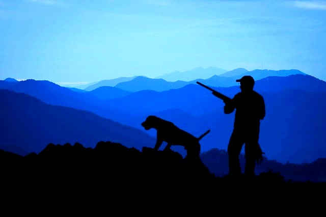 hunting-3145387_640.jpg