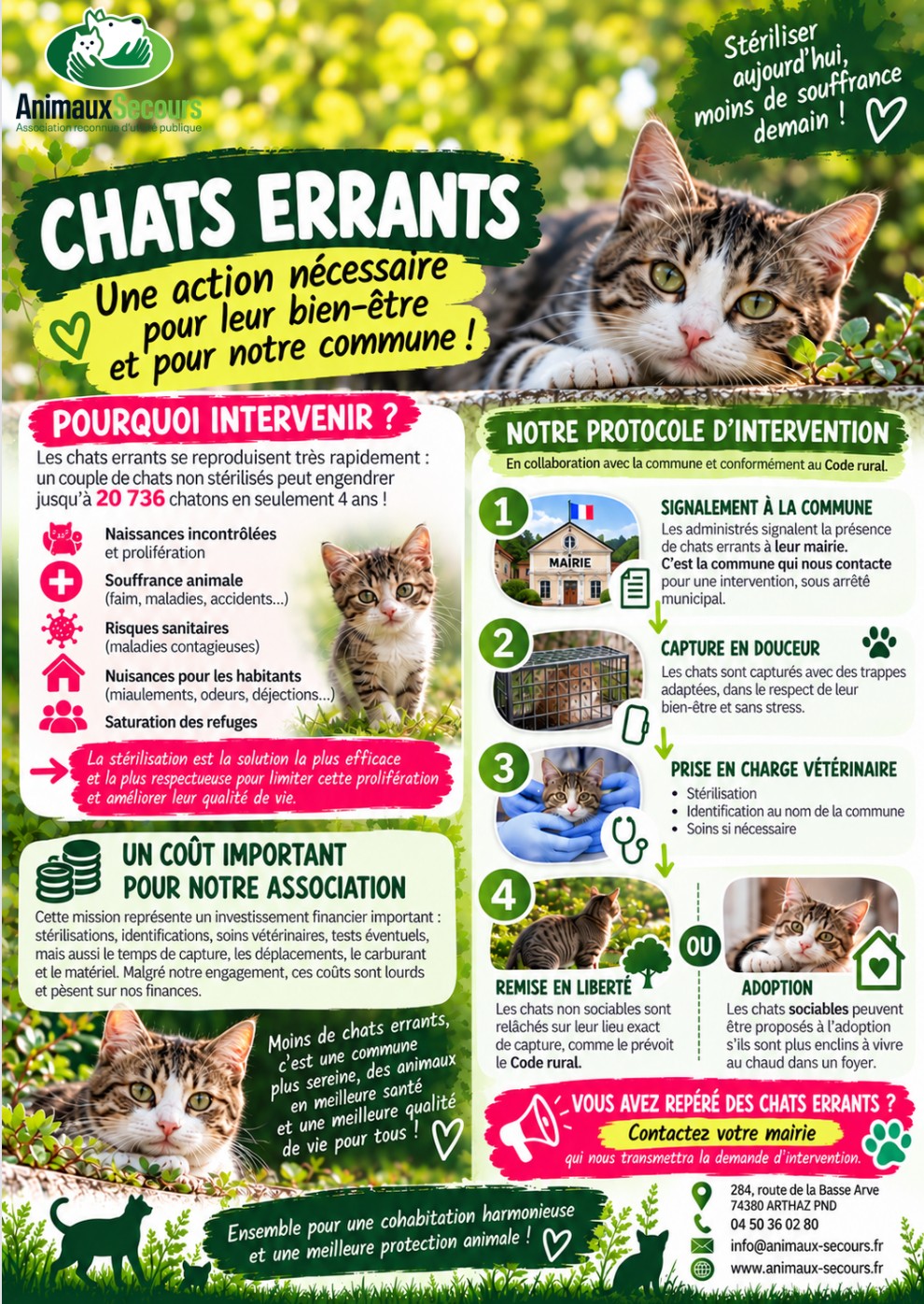 261201-ChatsErrants1.jpg