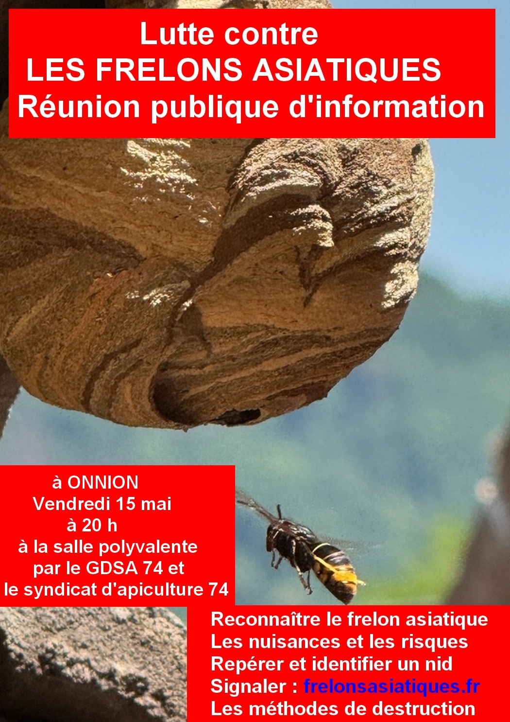 frelon.jpg