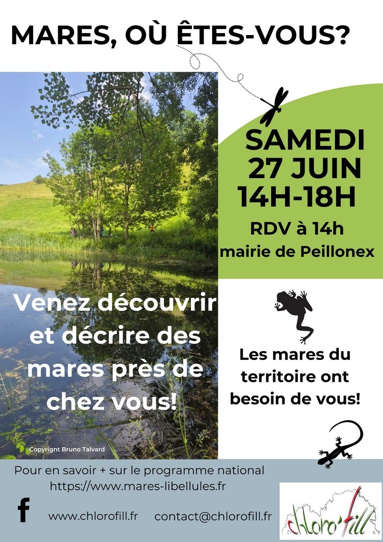 260627-SortieMares.jpg