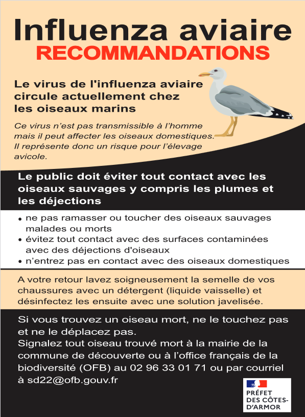 Influenza aviaire.PNG