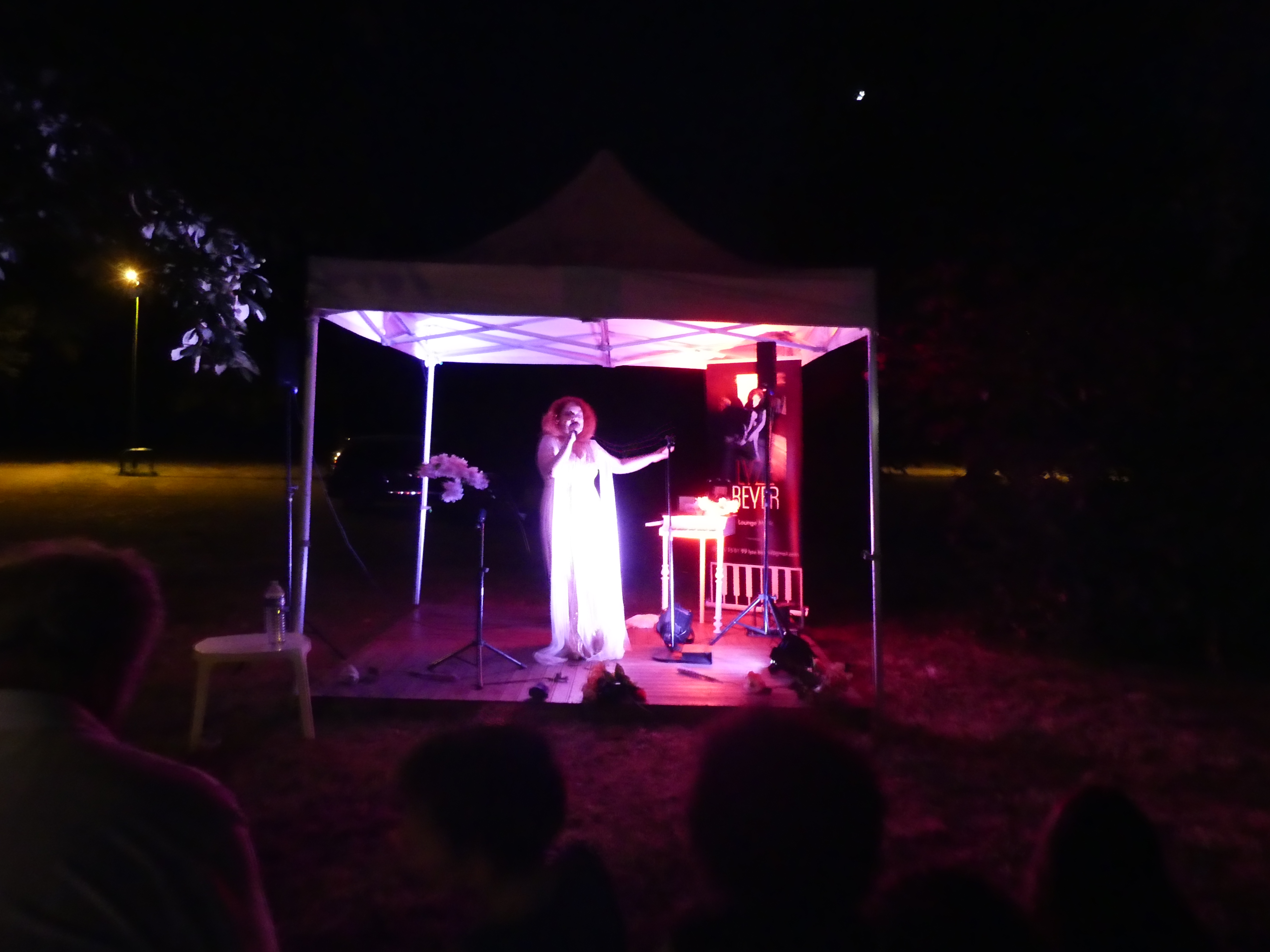 FETE DE LA MUSIQUE 12.JPG