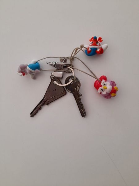 image8.jpeg