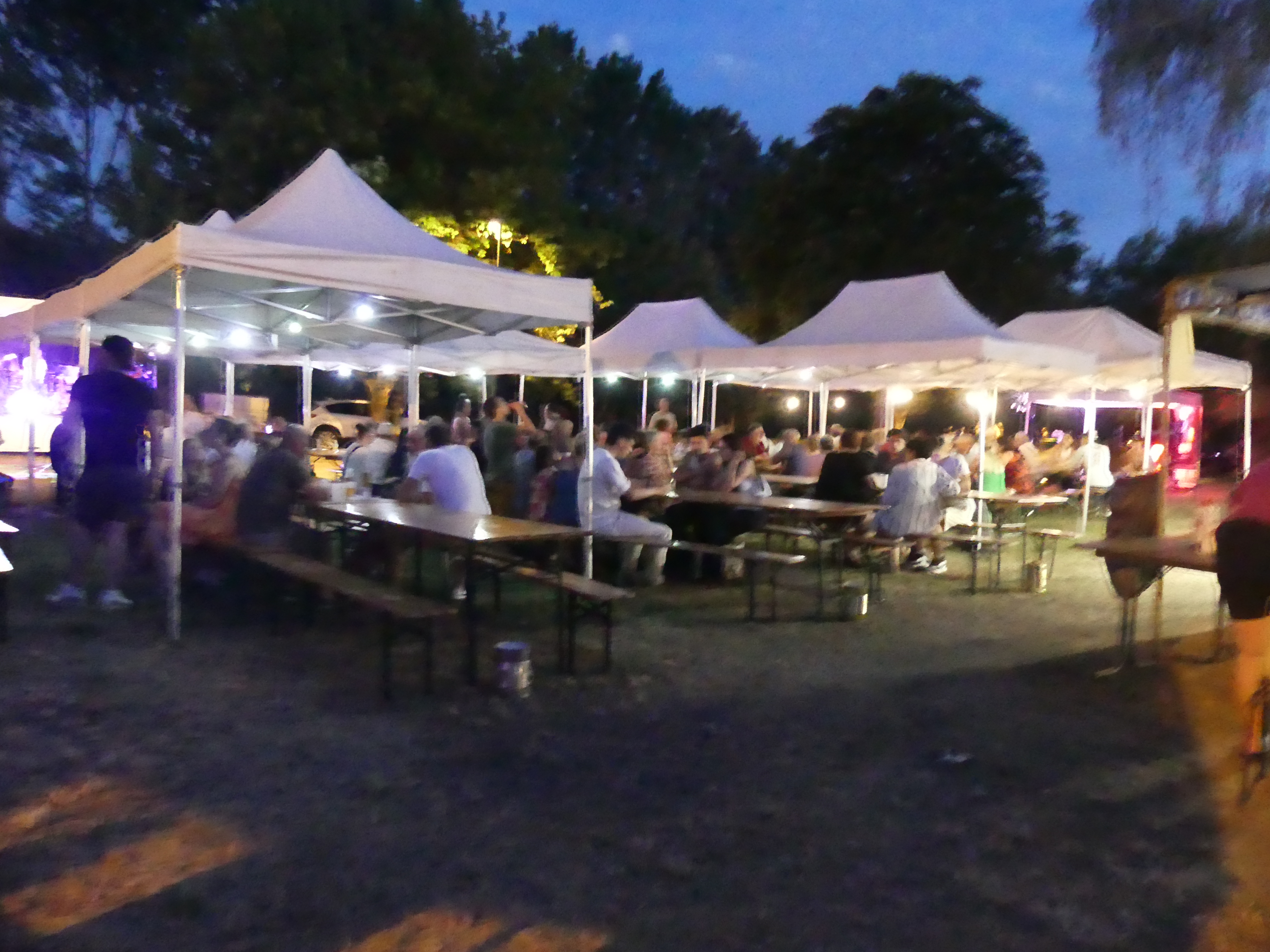 FETE DE LA MUSIQUE 11.JPG
