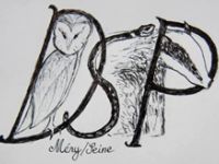 DSP - Découverte et Sauvegarde du Patrimoine naturel de Méry-sur-Seine et environs.jpg