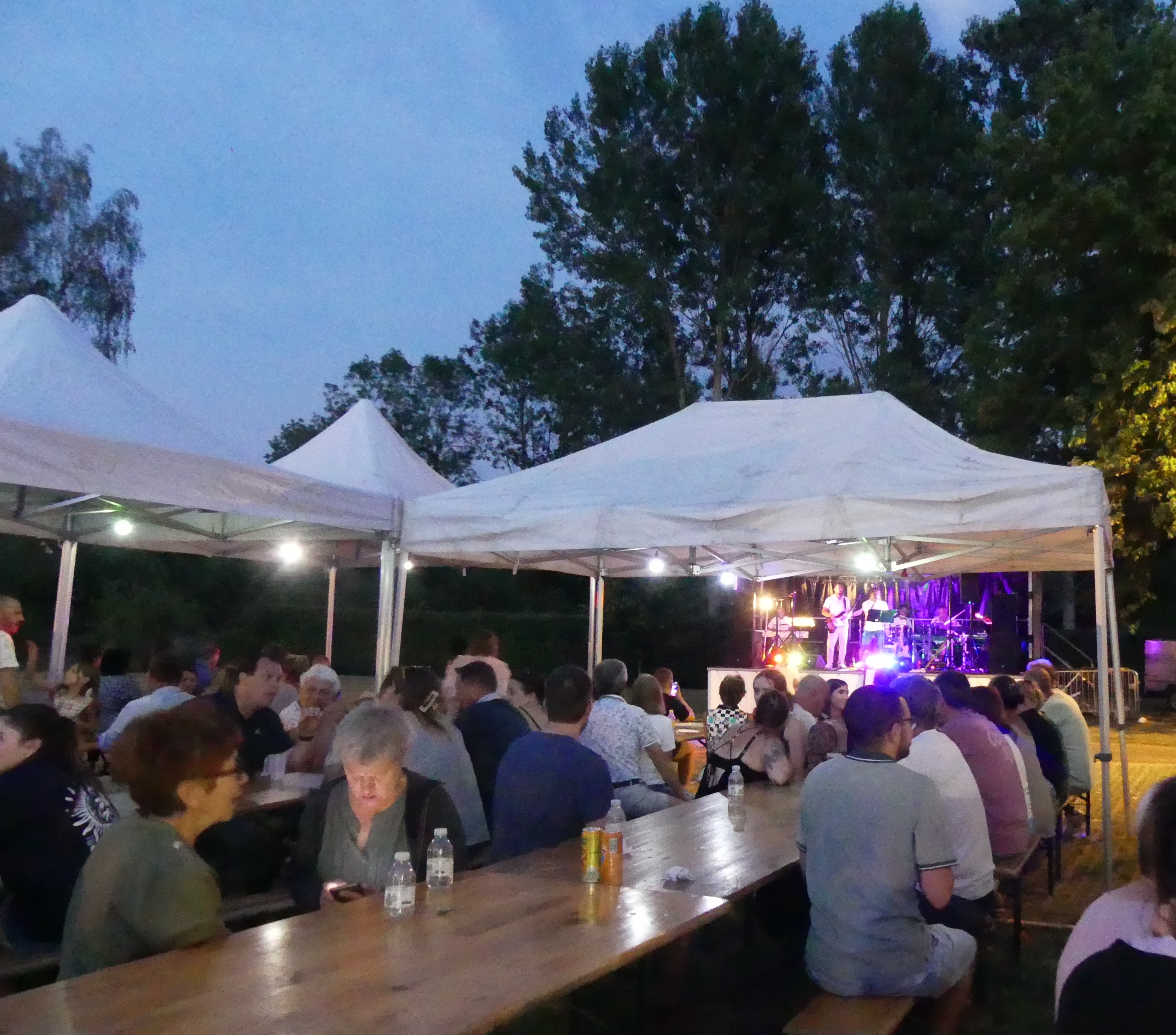 FETE DE LA MUSIQUE 9.JPG
