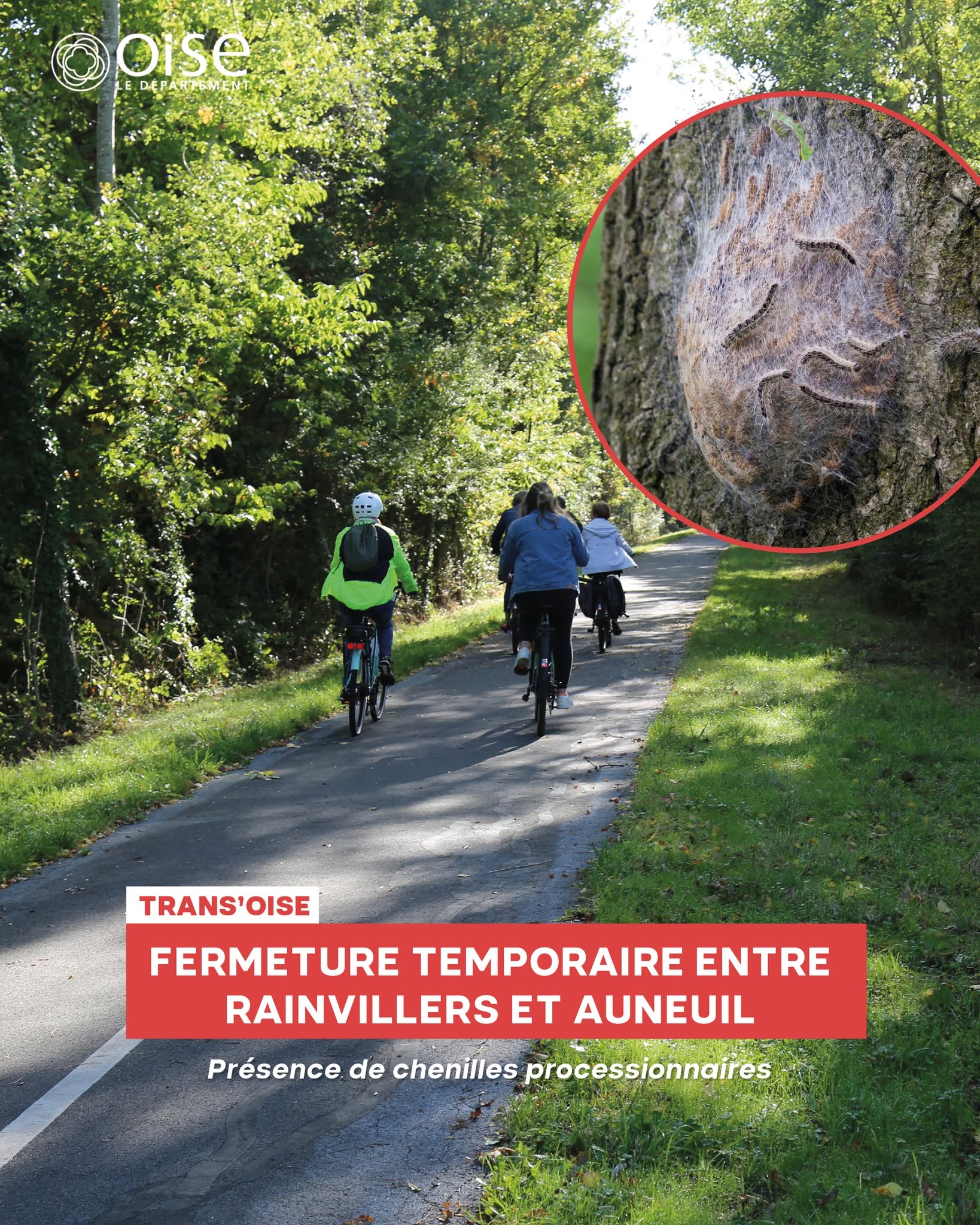 CD60 Chenilles fermeture voie verte.jpg