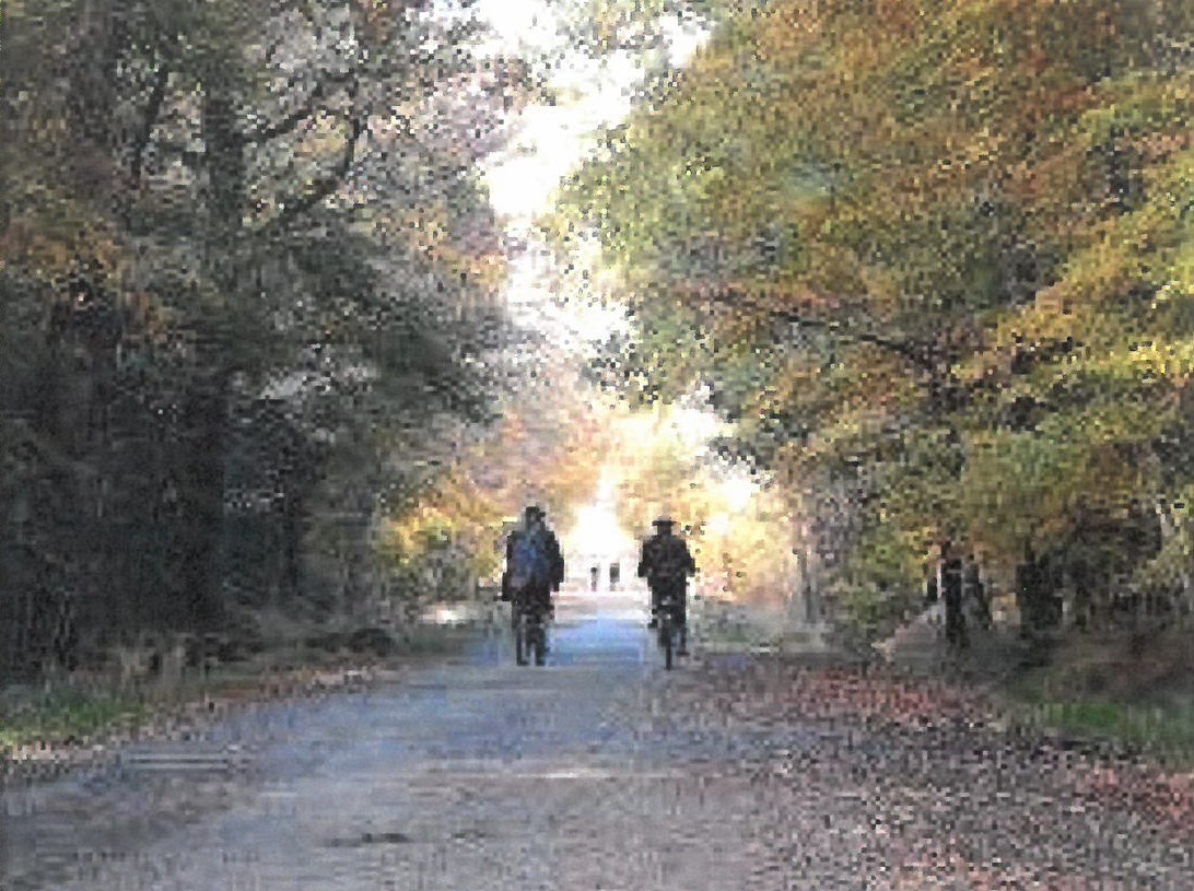 Photo routes forêt.jpg