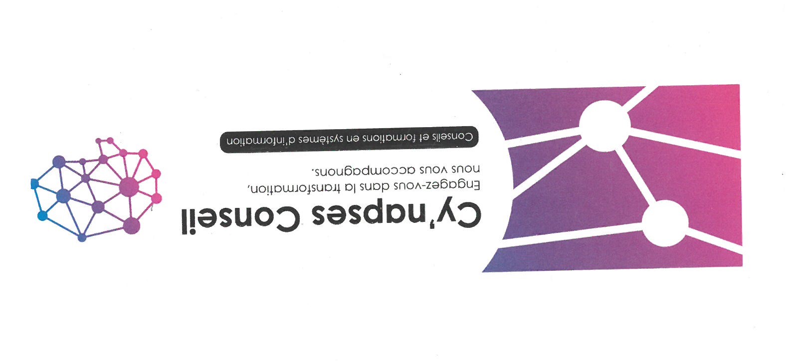 Logo Cy_napses Conseil.jpg