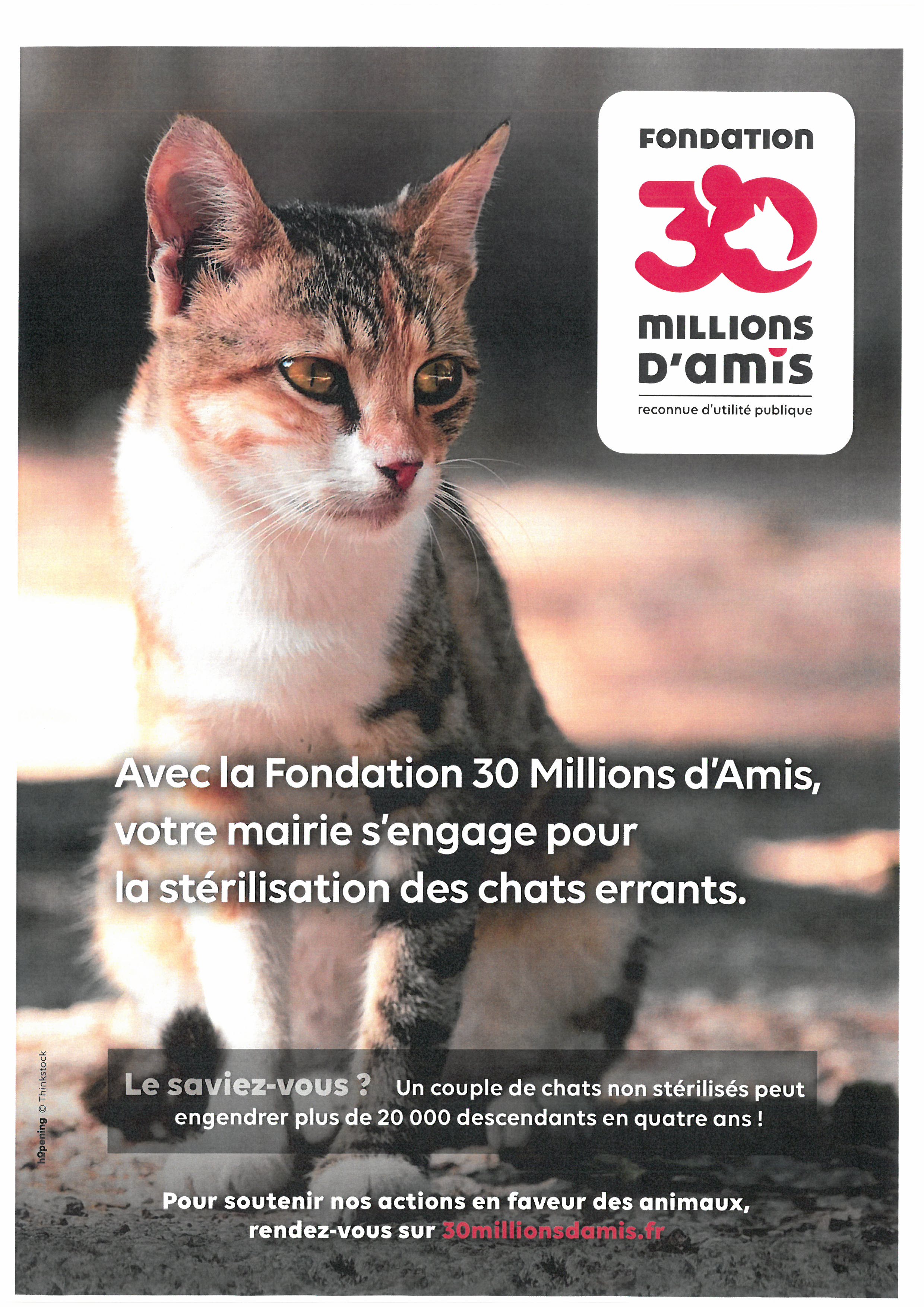 Fondation 30 millions d_Amis.jpg