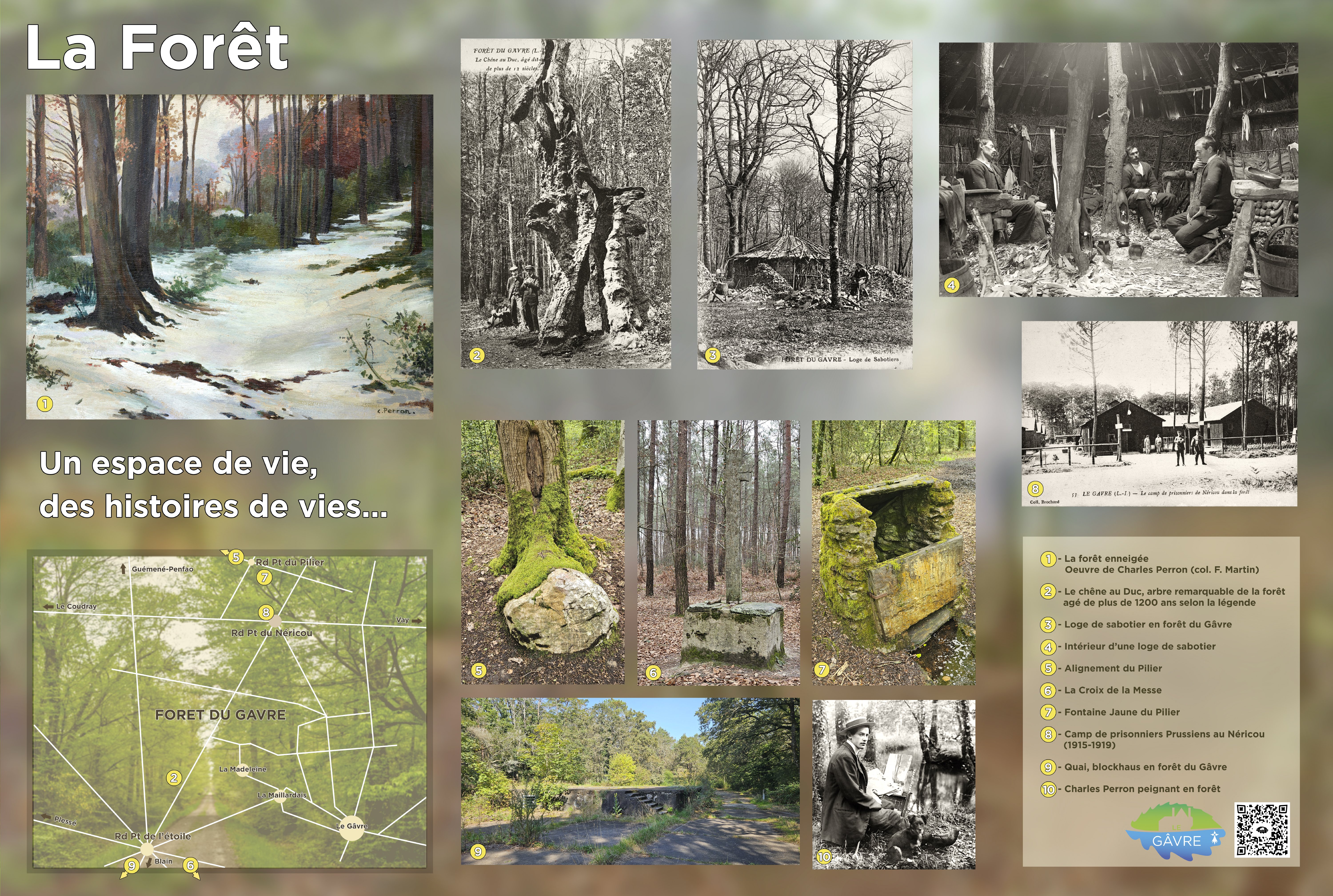 _FORET 2 250305.JPG