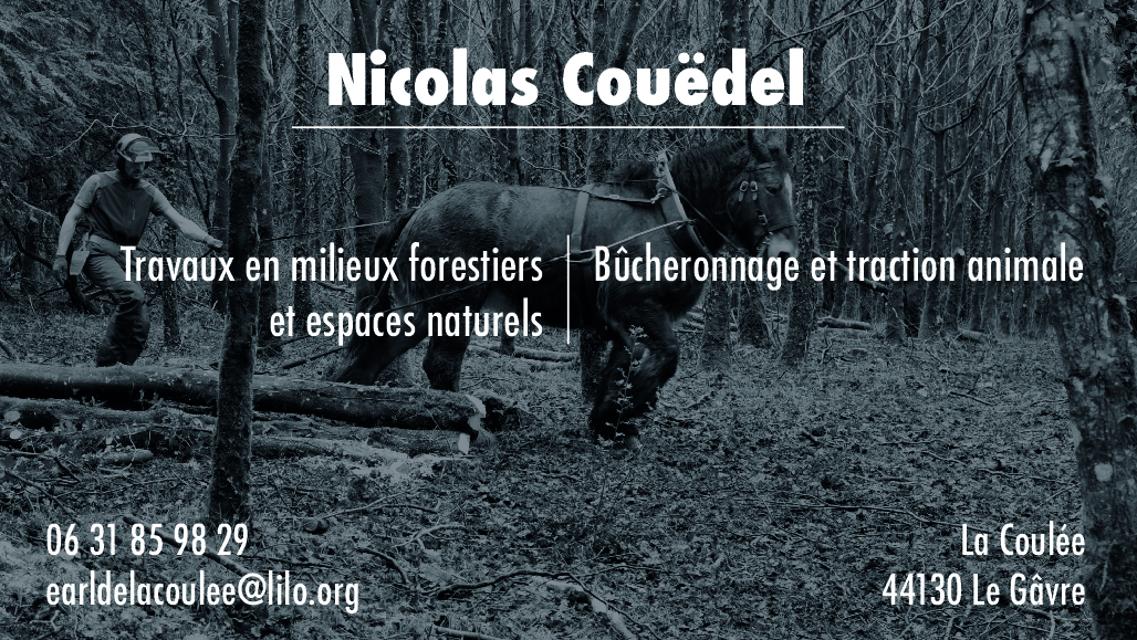 carte visite nico _VanOut_.jpg