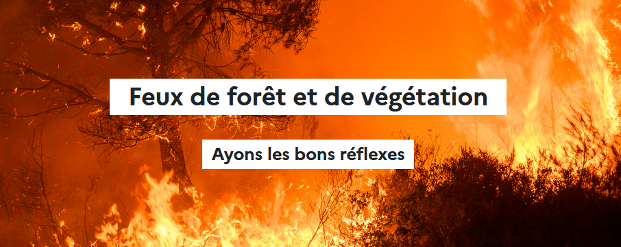 Feux-de-foret-1_2022.png