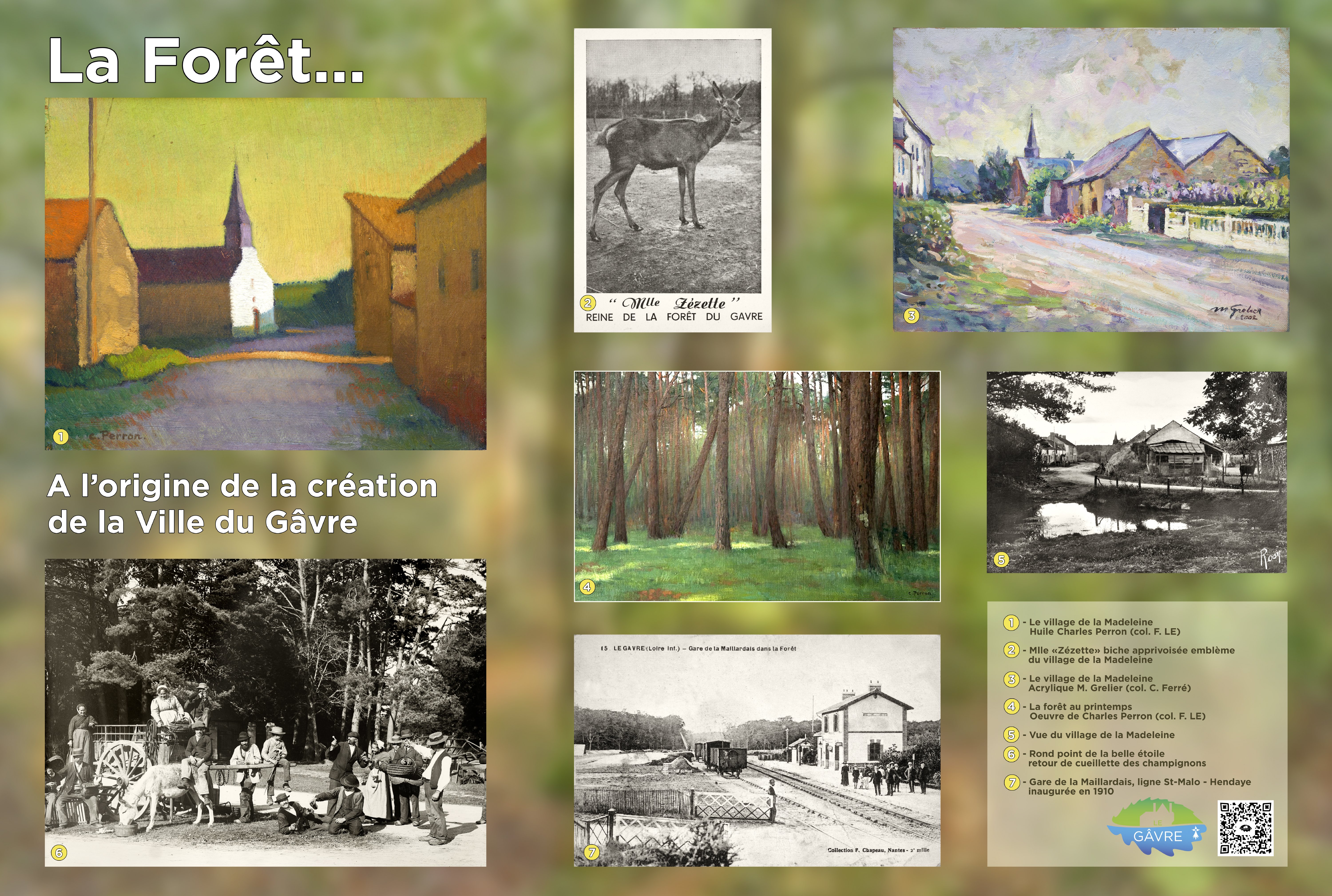 _FORET 1 250305.JPG