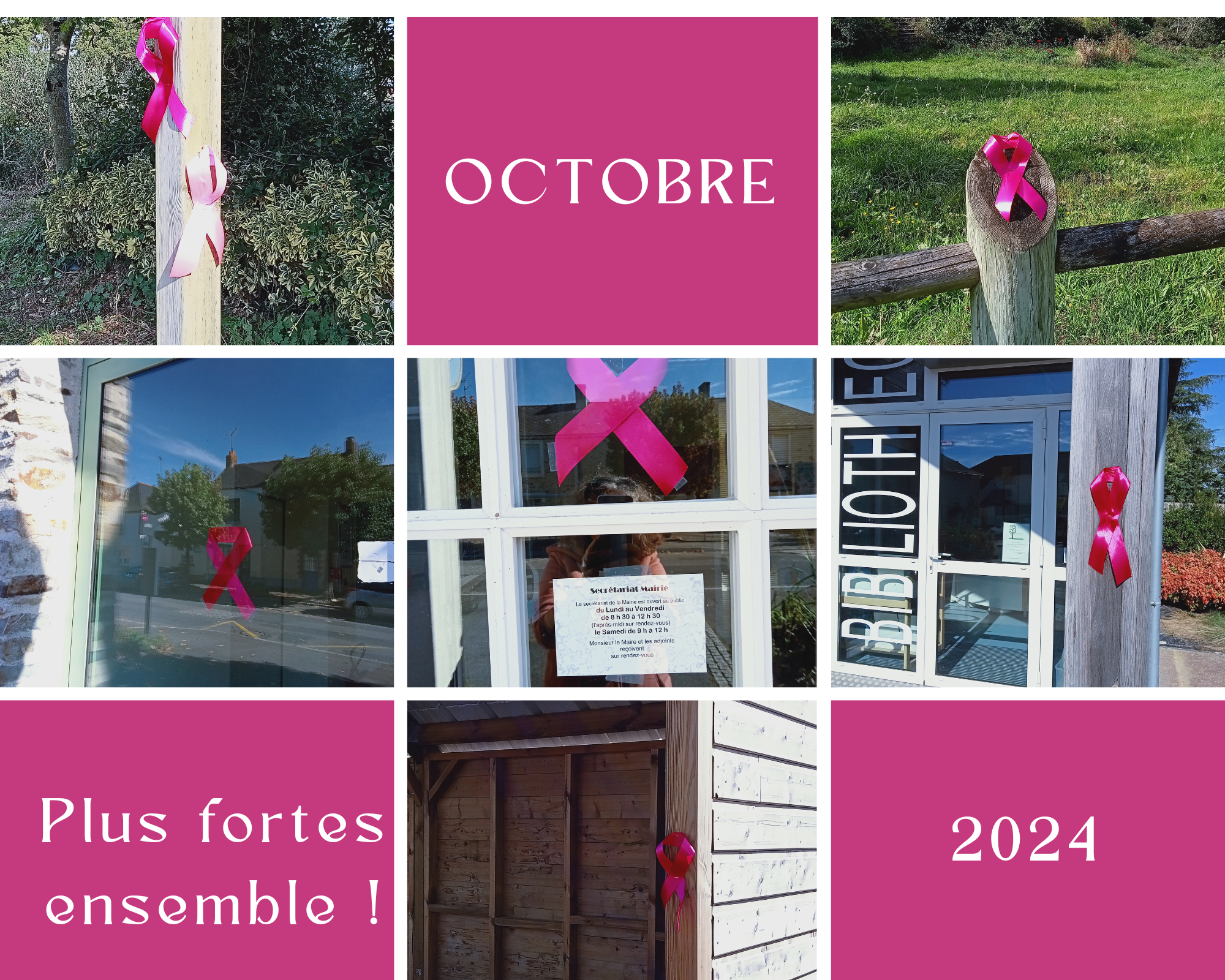 octobre rose.png