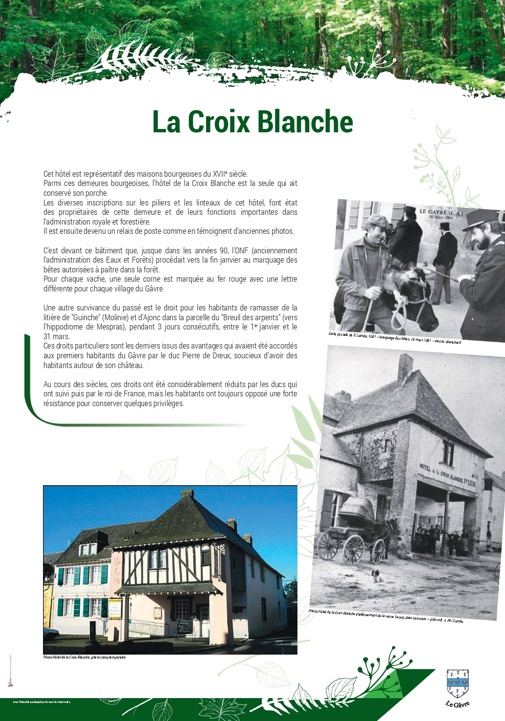 12 pnx GAVRE_page-0008.jpg