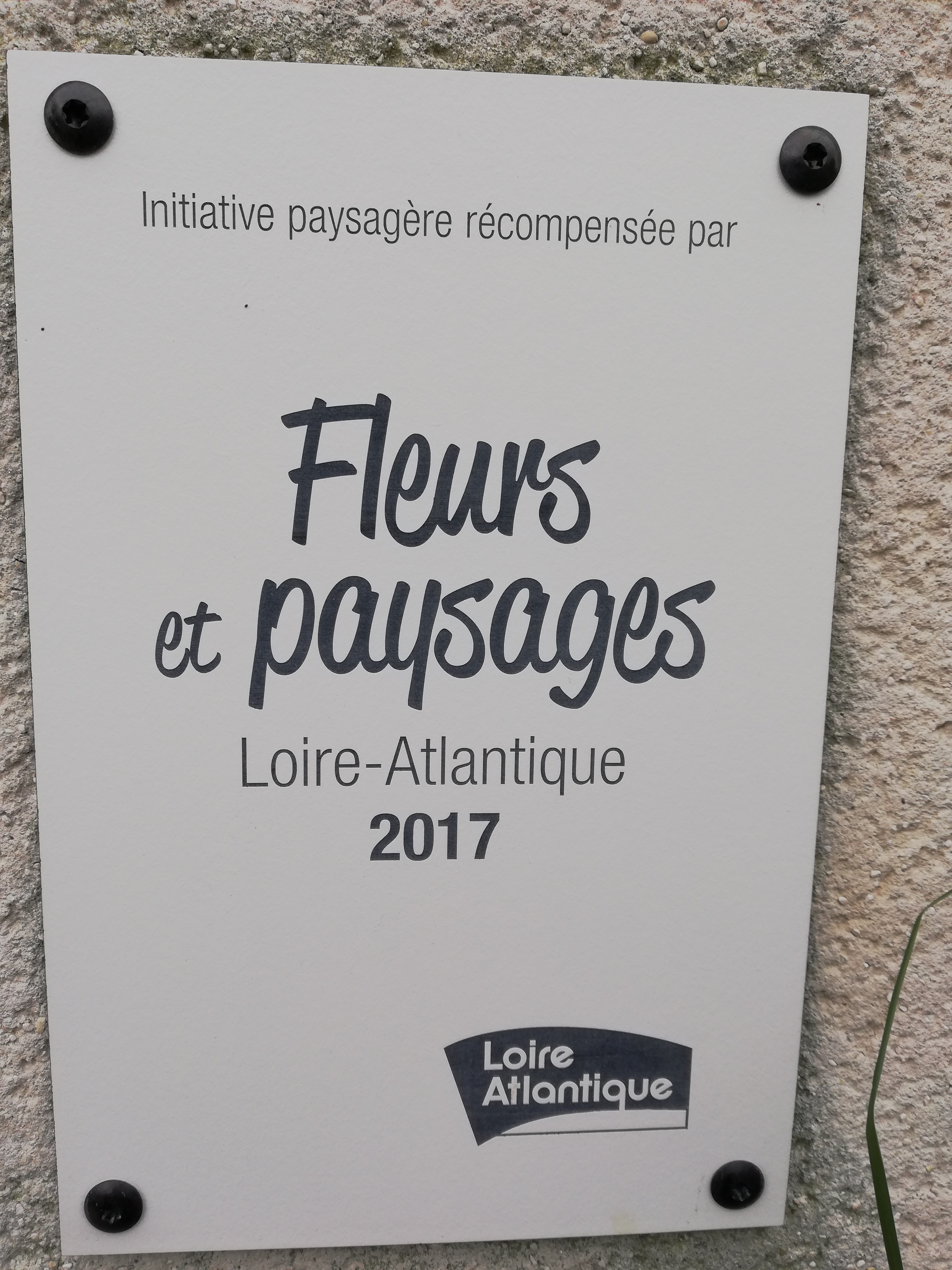 Fleur et paysages