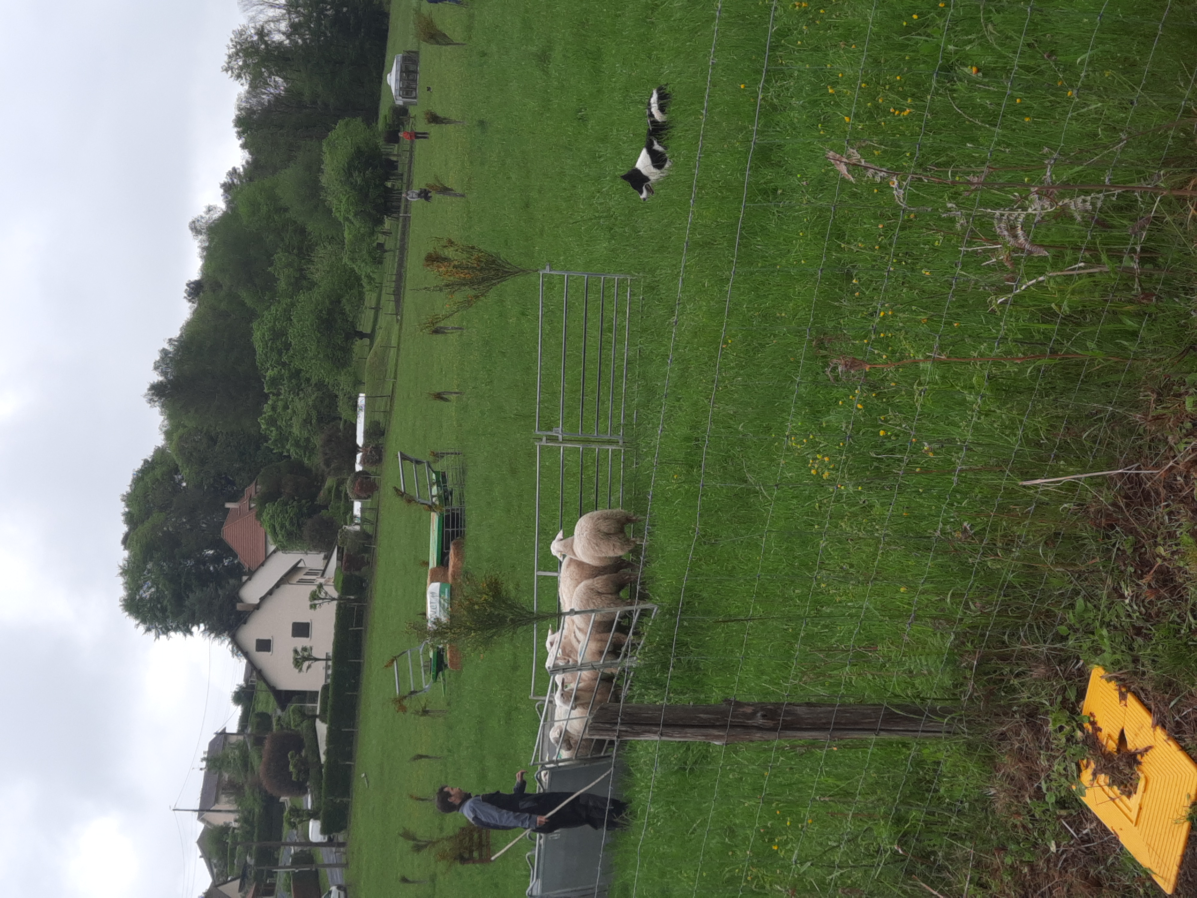 marché de primtemps 07 05 2023 _28_.jpg