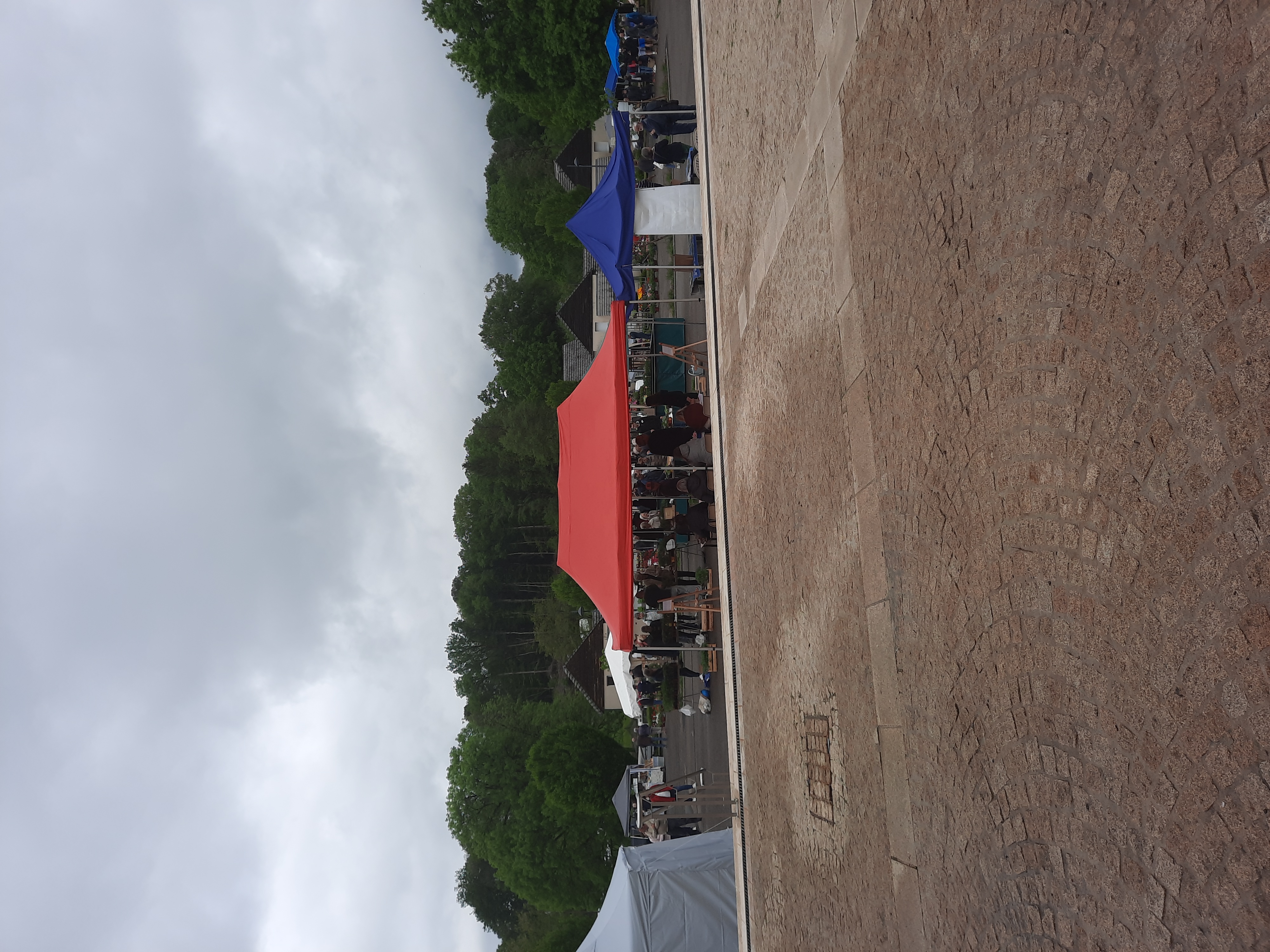 marché de primtemps 07 05 2023 _47_.jpg