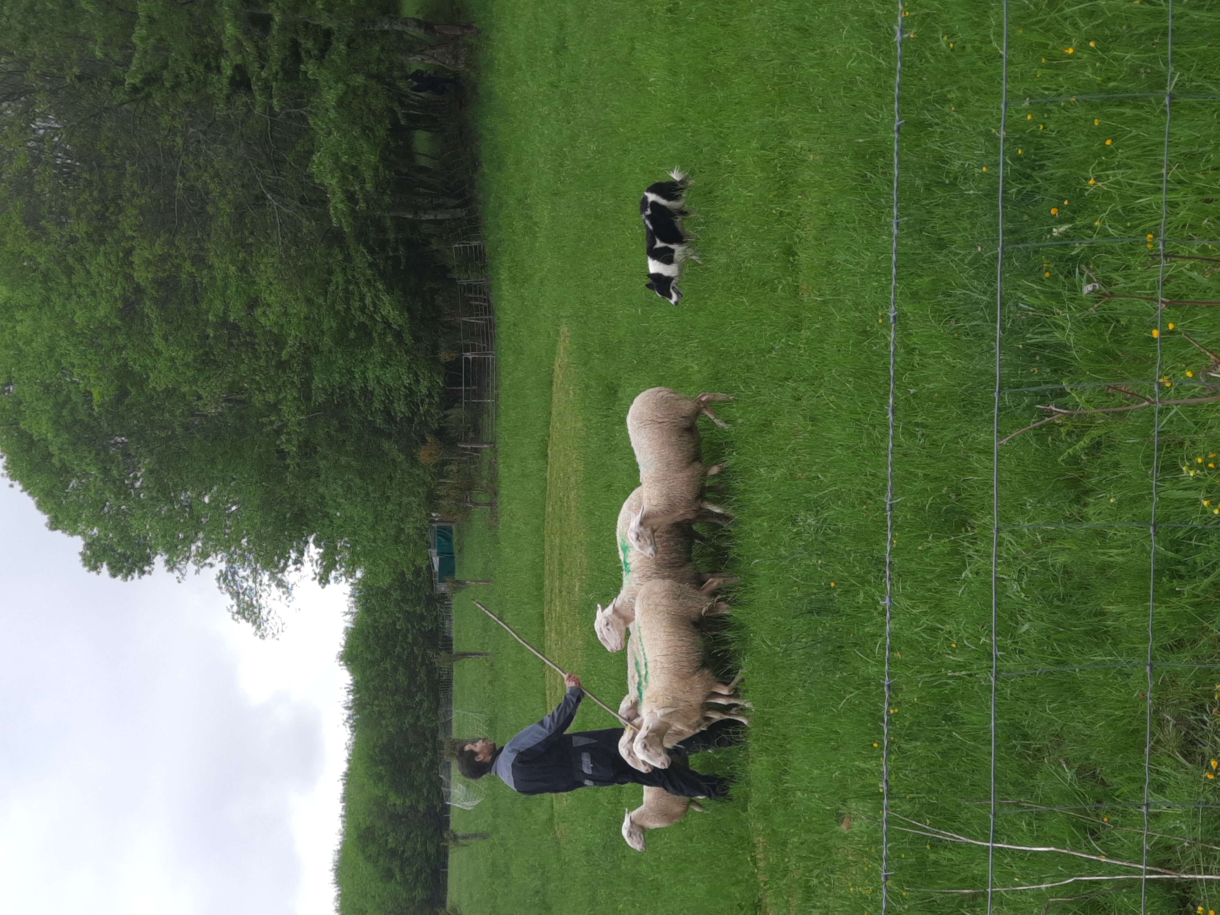 marché de primtemps 07 05 2023 _25_.jpg