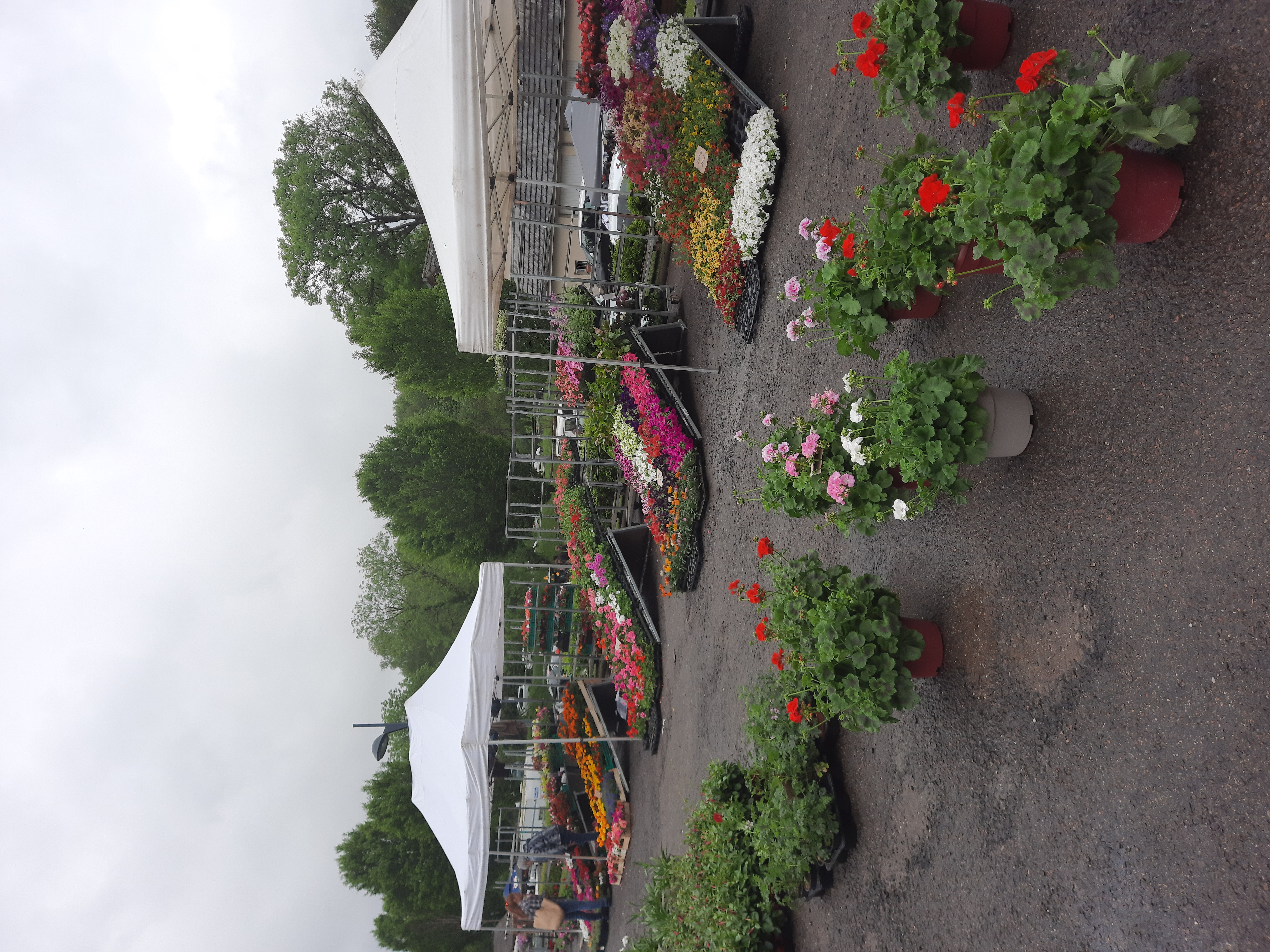 marché de primtemps 07 05 2023 _10_.jpg