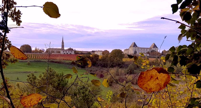 Saussignac en automne.jpg