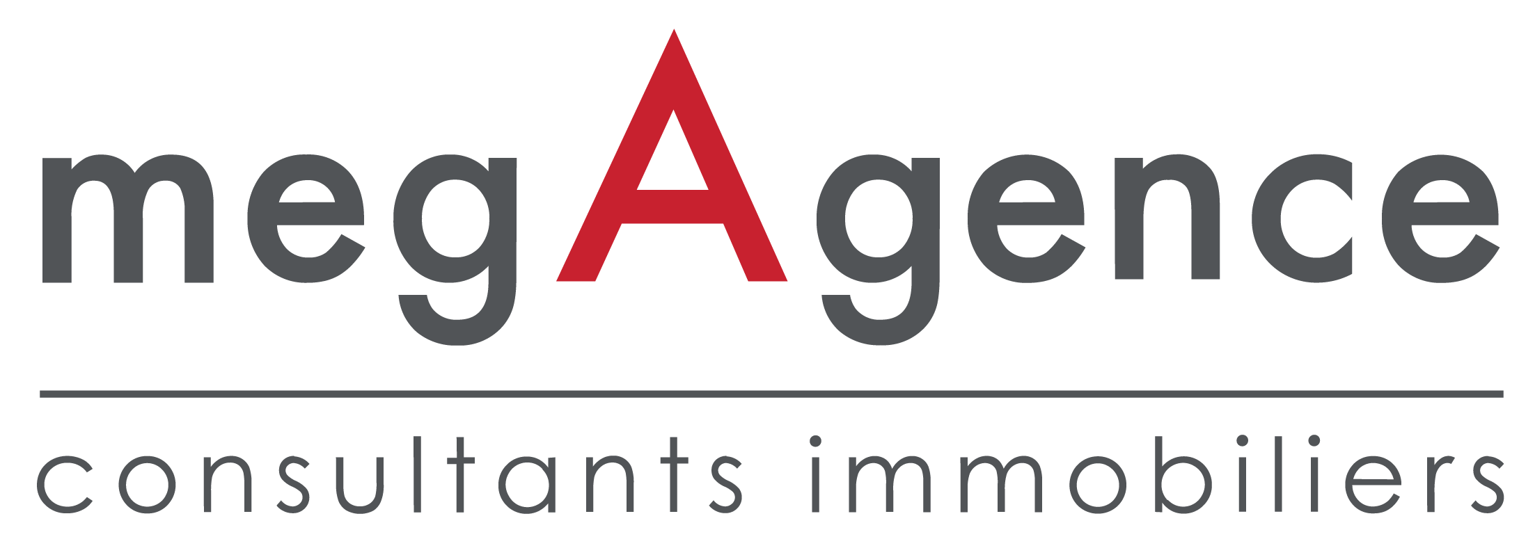 MegAgence Logo.png