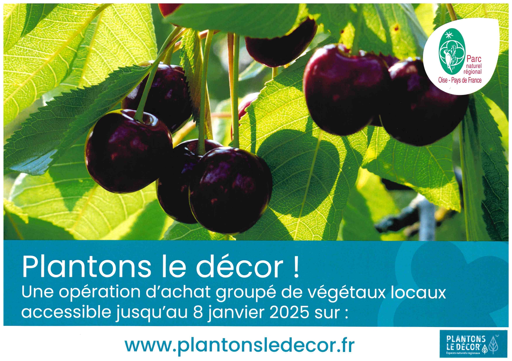 Plantons le décor.jpg