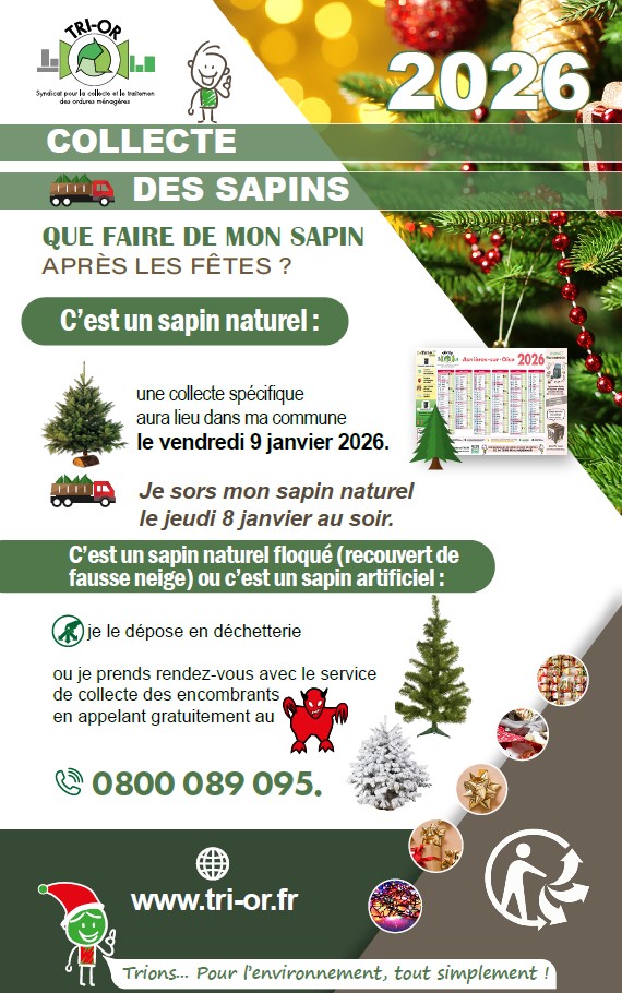 Collecte sapins.jpg