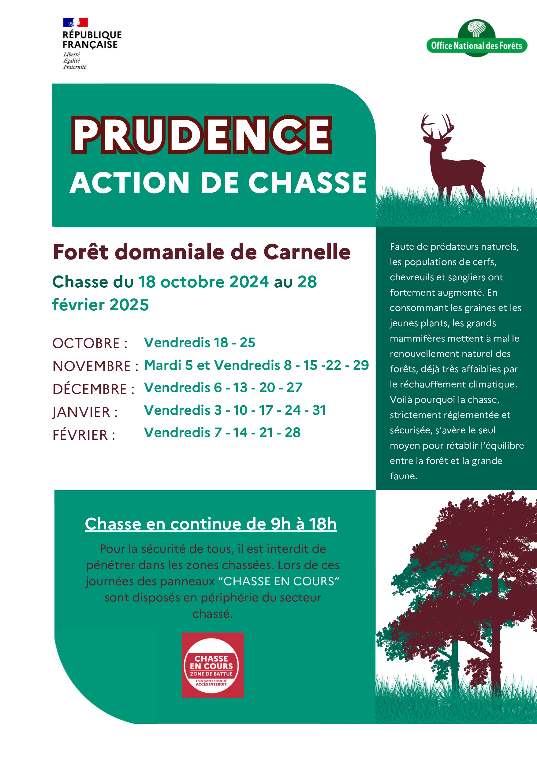 Affiche Carnelle 2024-2025.jpg