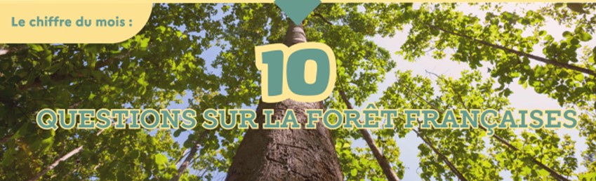 questions sur la forêt française.jpg