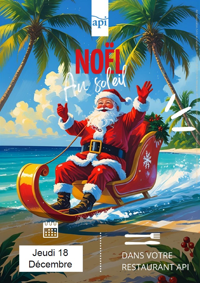 API Noel au soleil.jpg