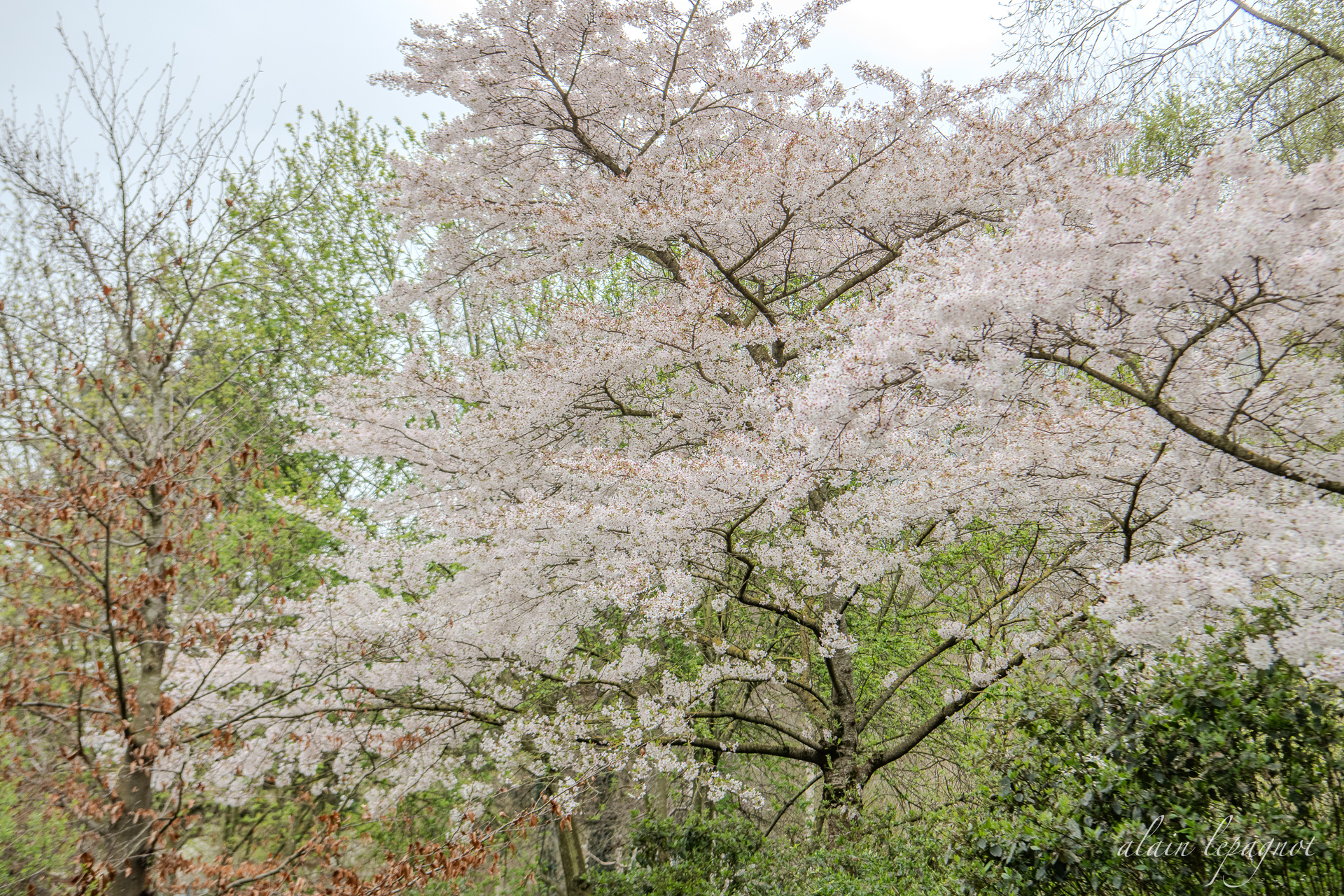 Lepagnot Mars 2026.jpg