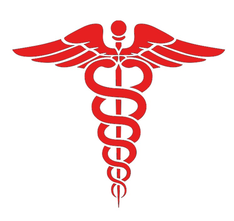 Infirmier Logo.jpg