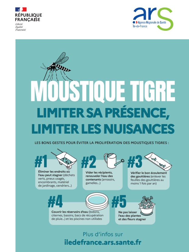 Moustique tigre 2.jpg