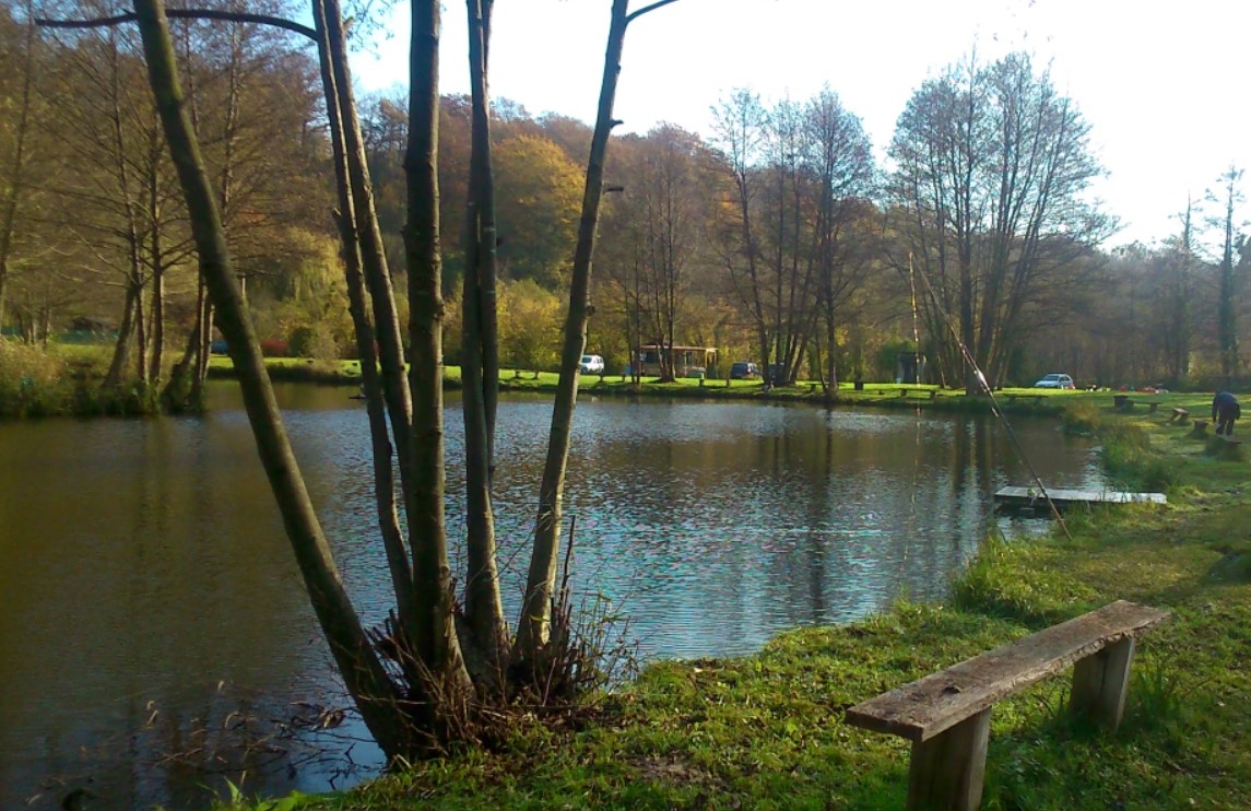Etang Moulin Neuf.jpg