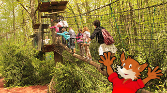 Aventure land.jpg