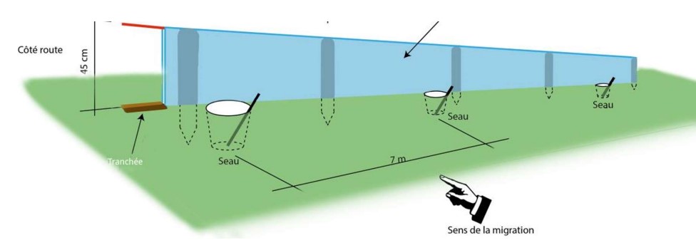 Crapaudrome plan instal.jpg