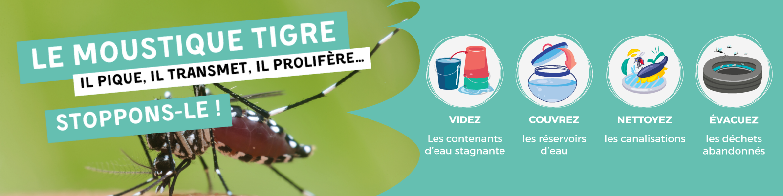 bandeau de communication_Moustique tigre.png