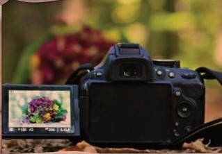 Carte de visite La Photographie de Francine - Recto.jpg