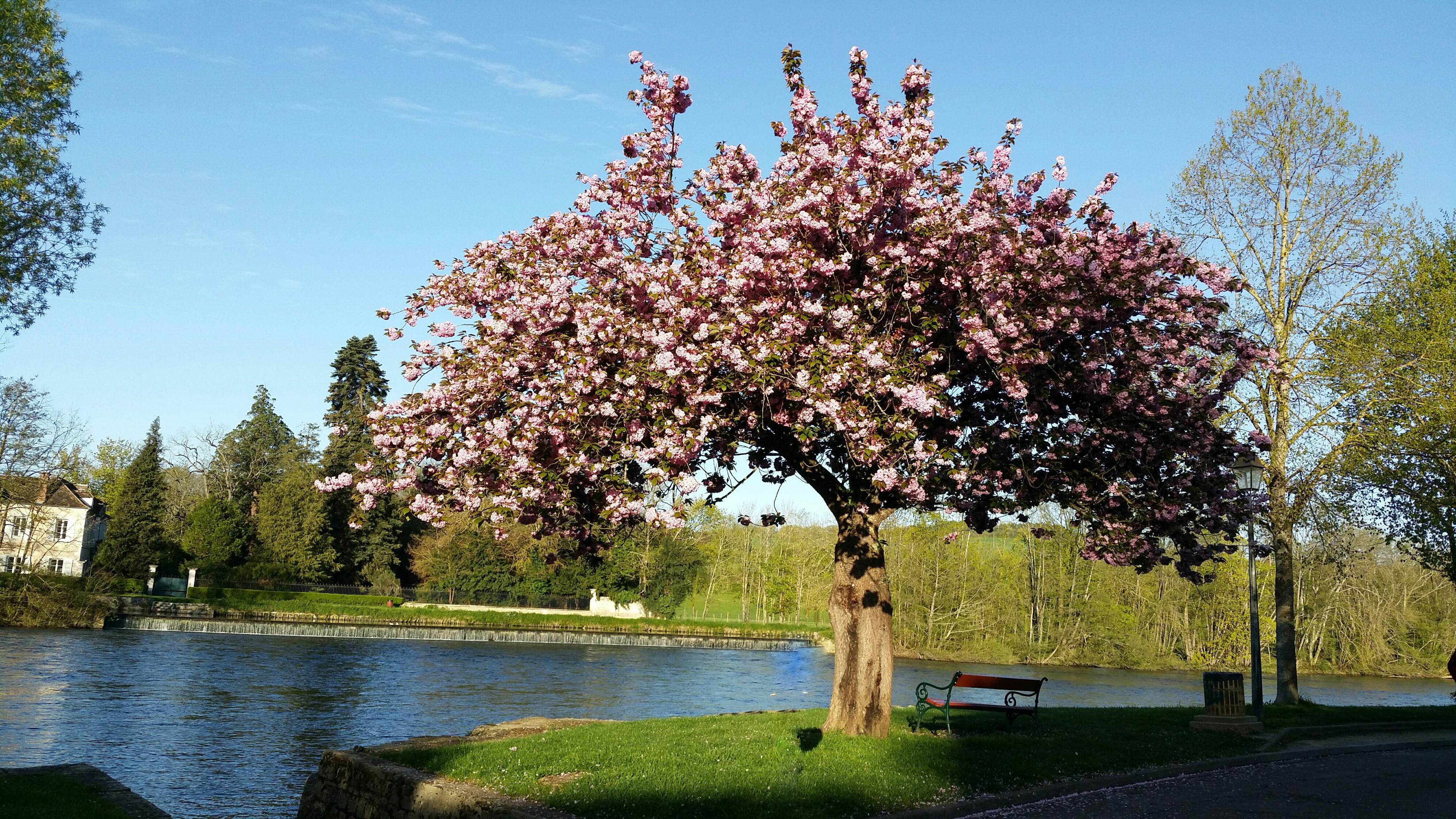 Bord d'Yonne