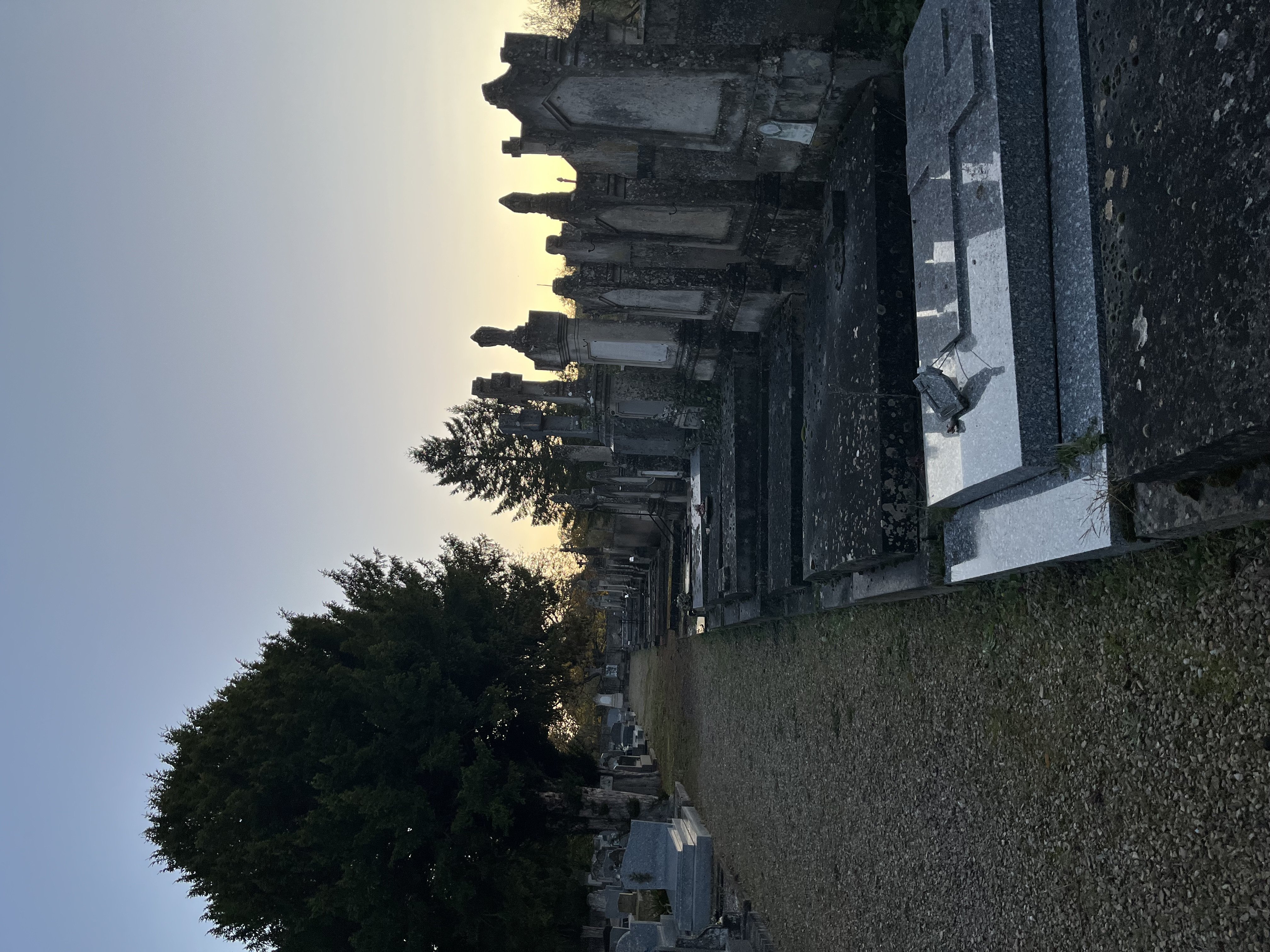 IMG_5585.jpeg