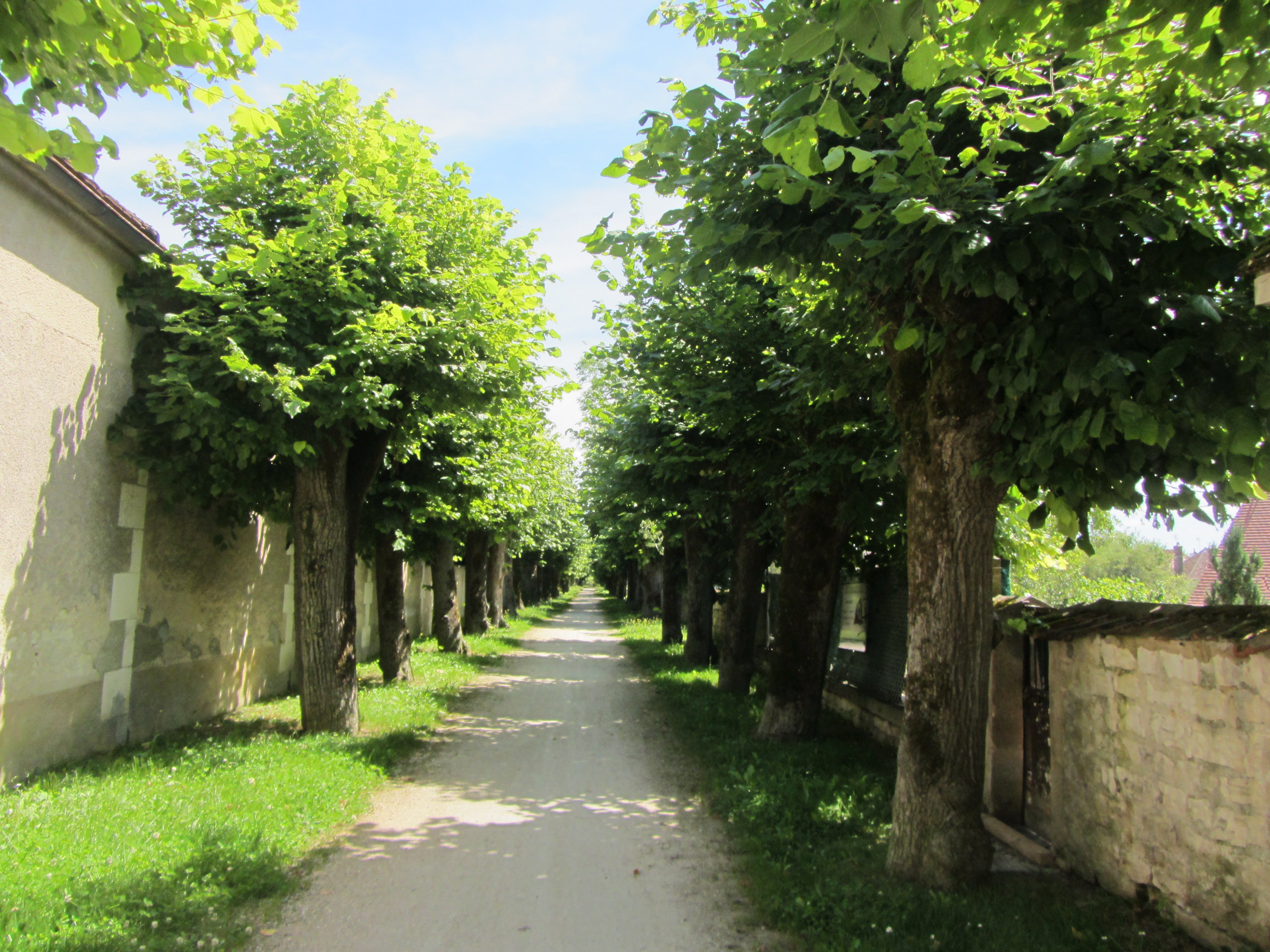 promenade du centre .JPG