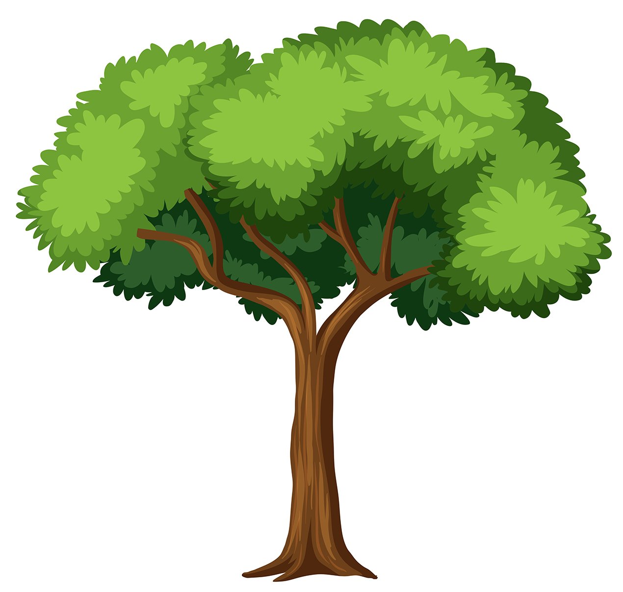 arbre.jpg