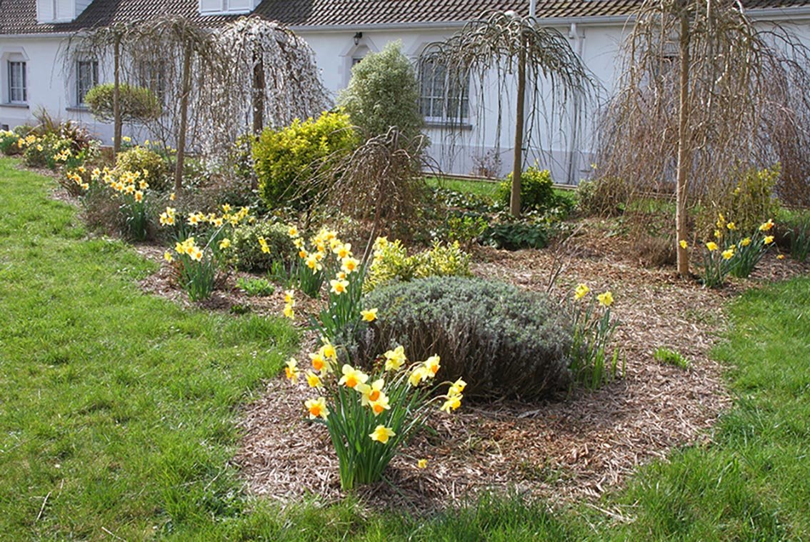 place les jonquilles.jpg