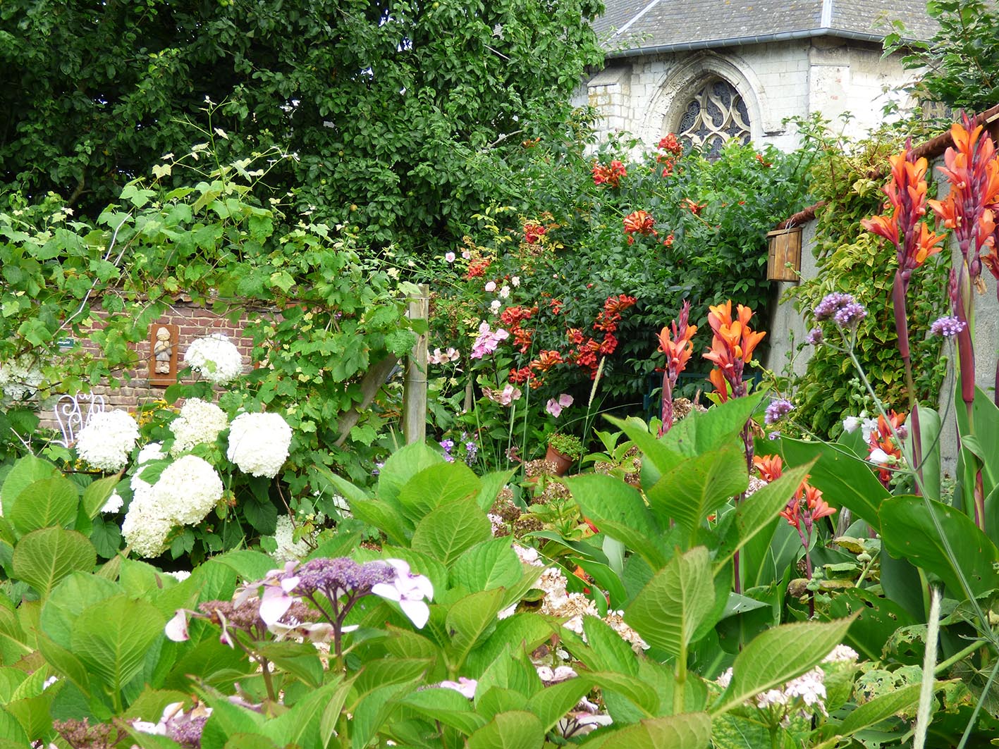 le jardin d _hydrangea2.jpg